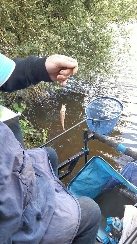 Concours pêche au coup 26 mai