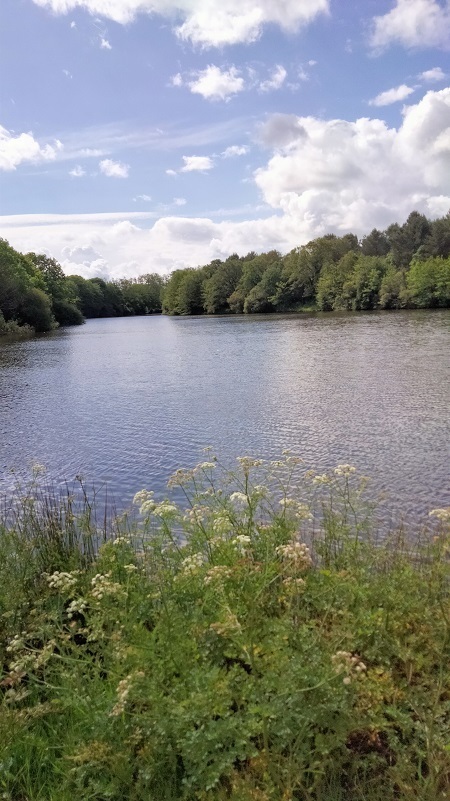 Concours pêche au coup 26 mai