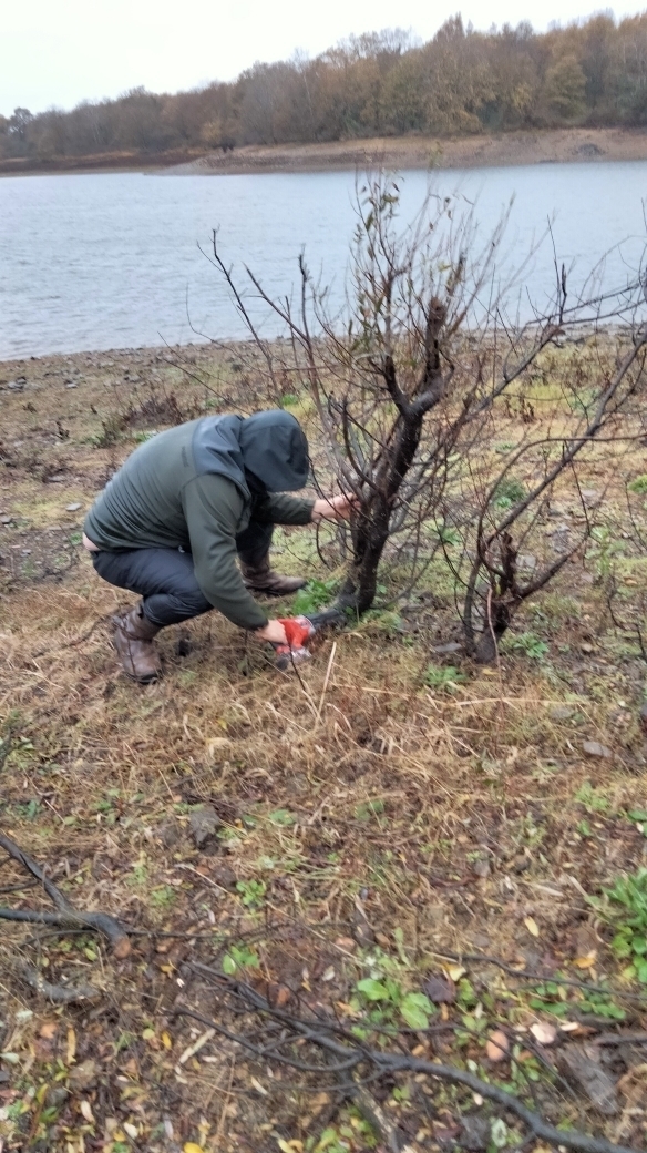 Entretien poste carpistes