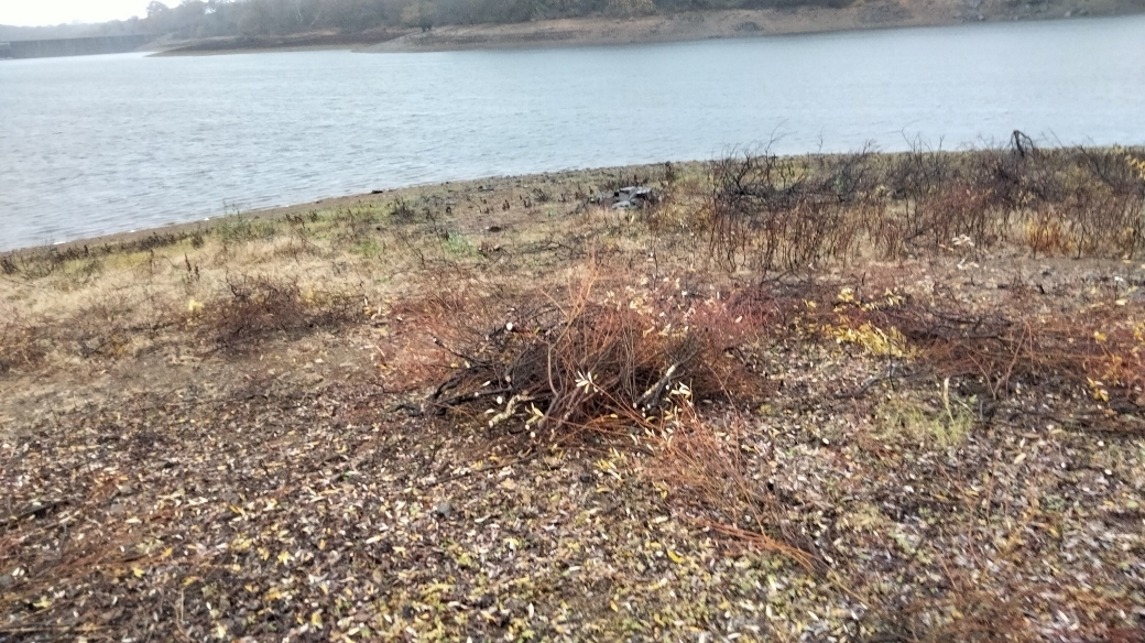 Entretien postes carpistes