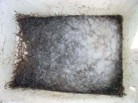 AFFAIRE CIVELLES  DANS LA BAIE DE L’AIGUILLON