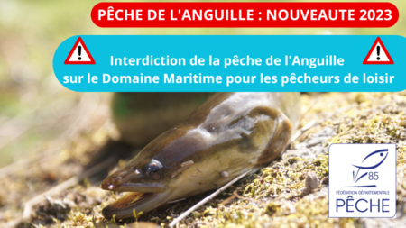 Affiche interdiction pêche anguille en bord de mer