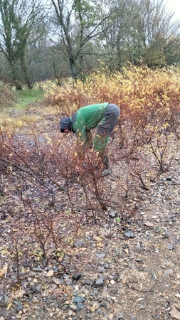 Entretien postes carpistes