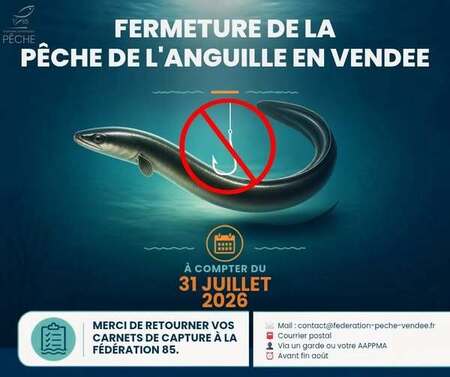 Fin Pêche anguille