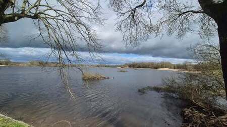 Plan d'eau refuge des oiseaux