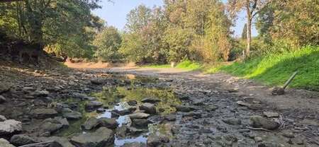 SITUATION CRITIQUE SUR CERTAINS COURS D’EAU VENDÉENS
