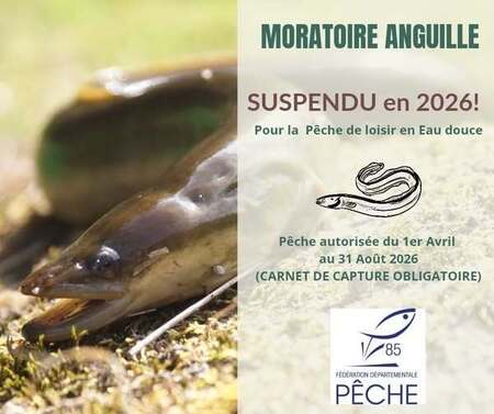 UN MORATOIRE INJUSTE SUSPENDU GRÂCE À LA FNPF !